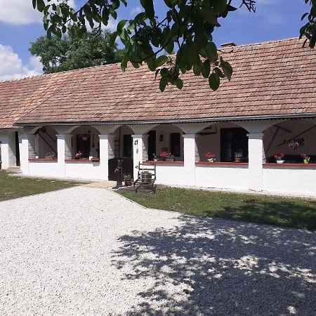 Letunt Idok Vendeghaz Villa Kemenesmihalyfa Eksteriør bilde